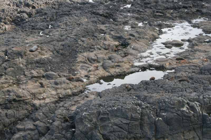 Nieuw-Zeeland 2011 - 1978